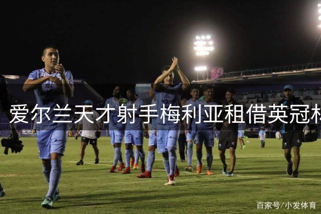 爱尔兰天才射手梅利亚租借英冠林肯城 曾创本土联赛百万转会纪录