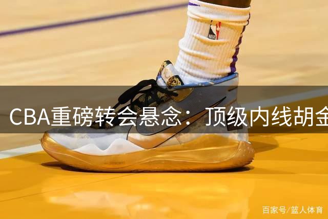 CBA重磅转会悬念：顶级内线胡金秋或离开浙江广厦，多支球队展开争夺
